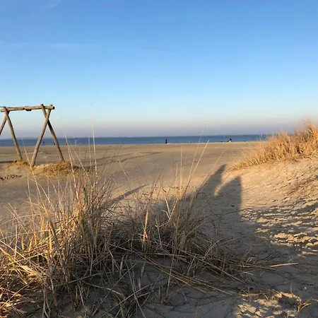 Seepferdchen